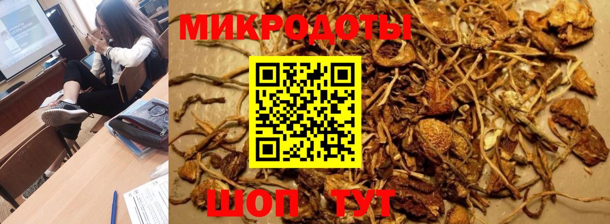 Псилоцибиновые грибы ЛСД  закладка  Комсомольск-на-Амуре  Вход с VPN 